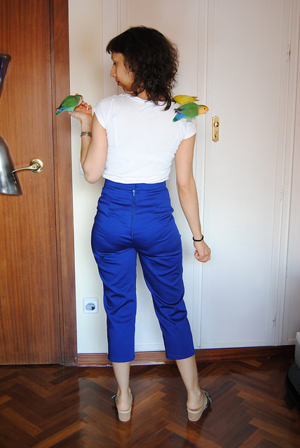 26074896214_e12f722422_z